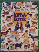 /album/plakatok/dscf6071-jpg/