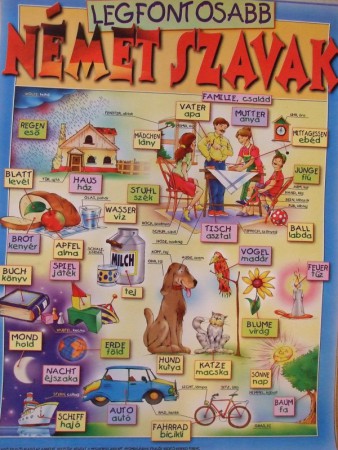 Legfontosabb német szavak